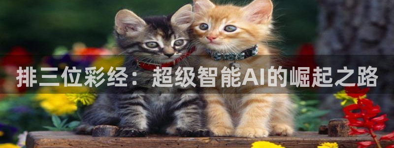 决胜巅峰国际服皮肤：排三位彩经：超级智能AI的崛起之路