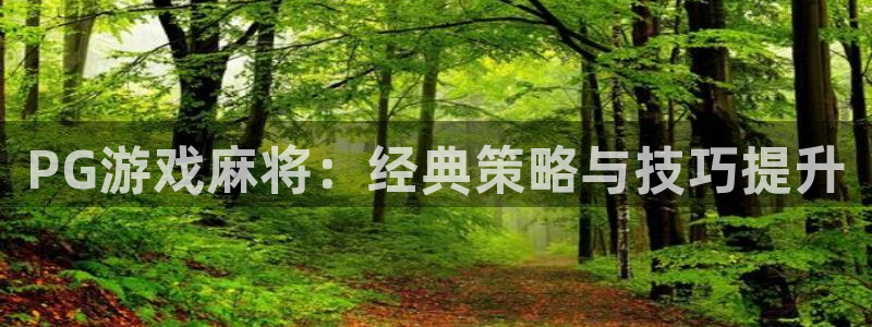 巅峰国际pg官网入口：PG游戏麻将：经典策略与技巧提升