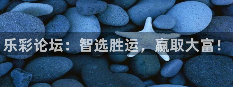 壹号平台娱乐：乐彩论坛：智选胜运，赢取大富！