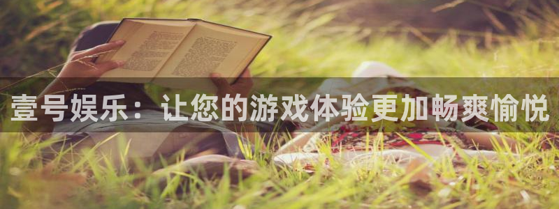巅峰国际app下载：壹号娱乐：让您的游戏体验更加畅爽愉悦