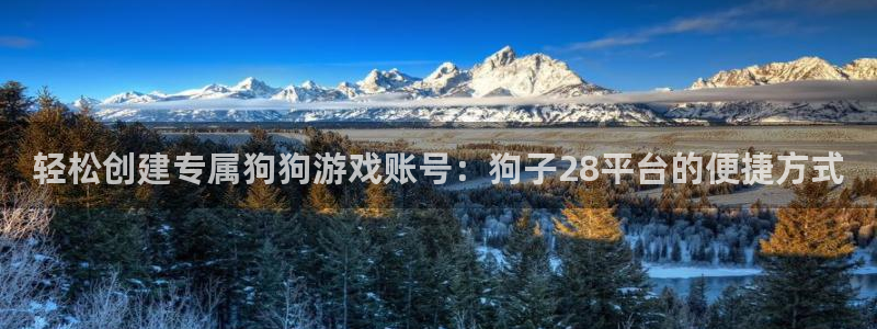 巅峰国际pg下载：轻松创建专属狗狗游戏账号：狗子28平台的便捷方式