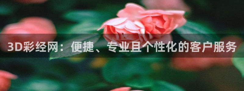 邢台巅峰国际怎么样：3D彩经网：便捷、专业且个性化的客户服务