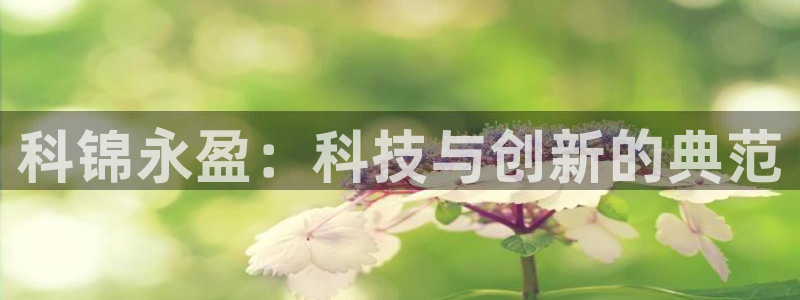 巅峰国际app手机版：科锦永盈：科技与创新的典范